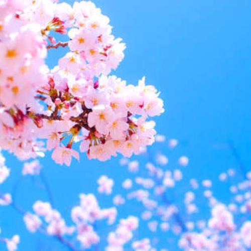 こうきのトーク