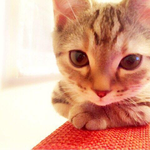 ゆう☆のトーク