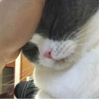山田ルイ