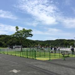 藤田大地