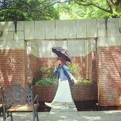 ﹢◊*ﾟななせ○のつぶやき﹢◊*ﾟ