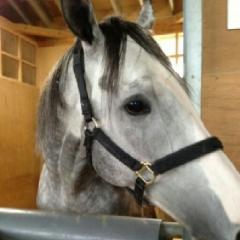 ☆KeyHorse&DreamHorse☆