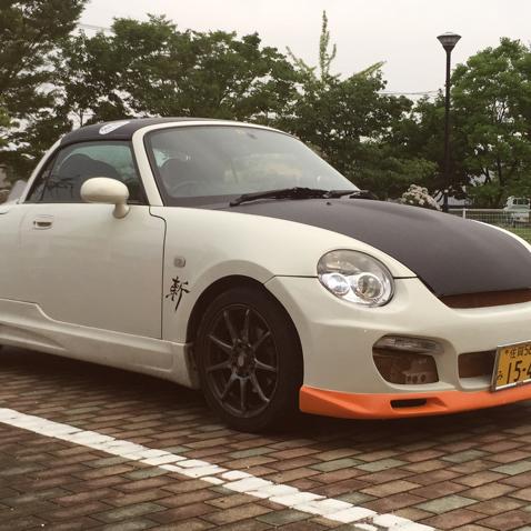 ただのこやま。