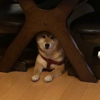 サネッティのトーク