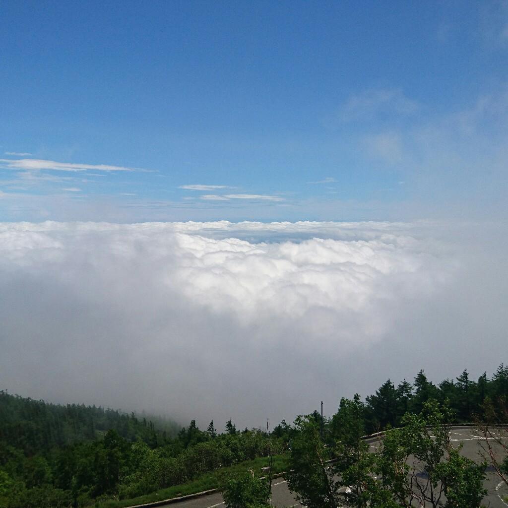 ひらりん®の拾われ集