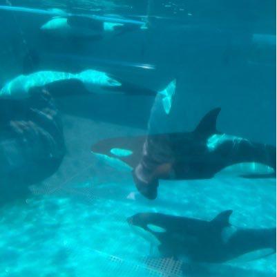 たかはすぃーみづき