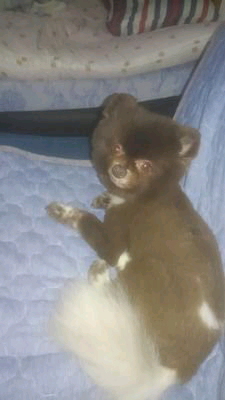 大阪魂