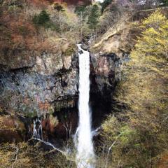 ハセタク(乃木坂46大好き♪)