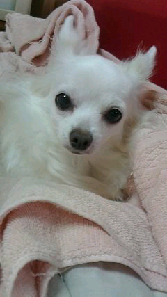 仮面maronのトーク