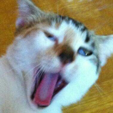 レフォー