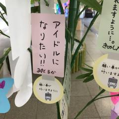 第23回 函館スプリントS GⅢ