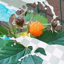 ゆー