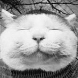 山ちゃんのトーク