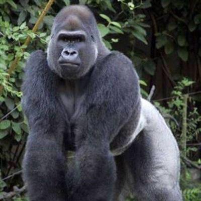 kenken_1122(RASCALs)のトーク