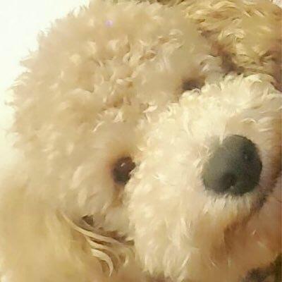 masatoのトーク