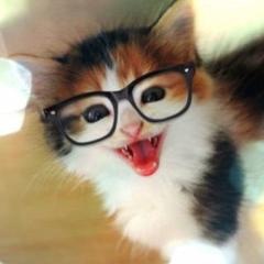 ここあ