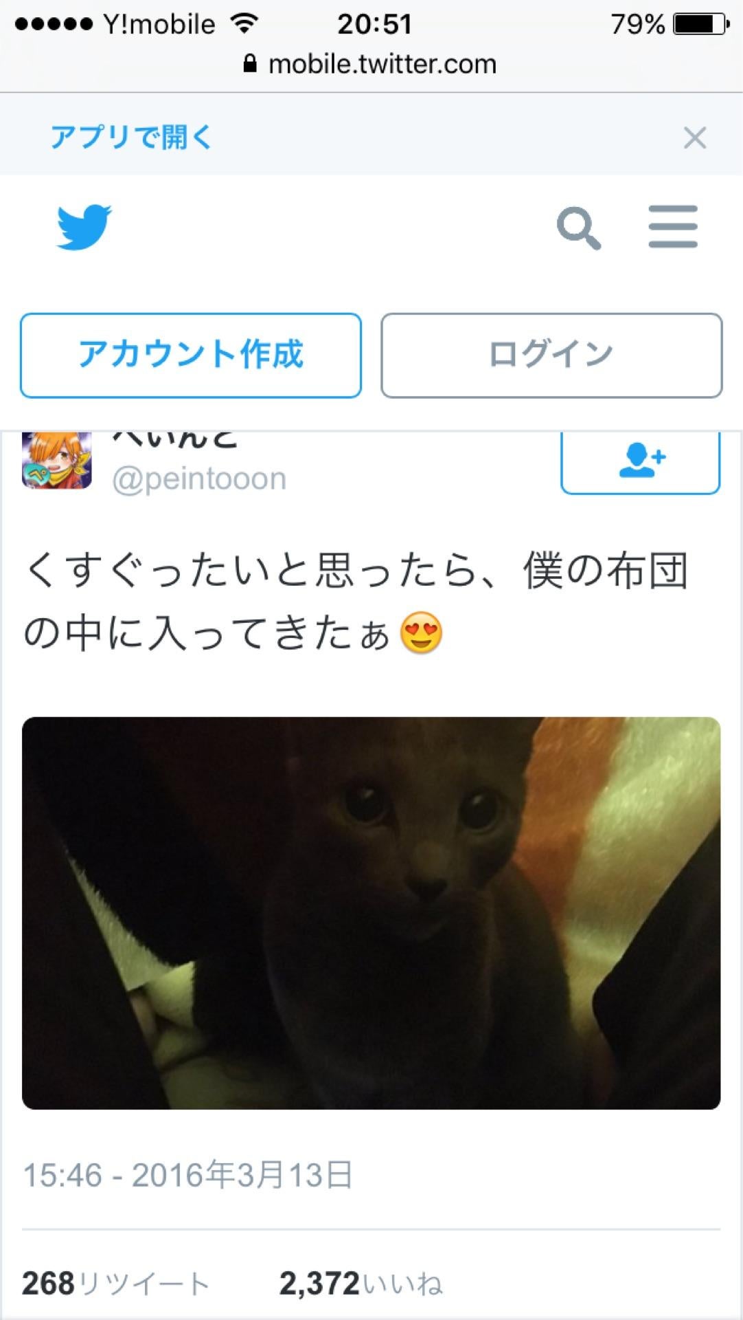 投稿画像