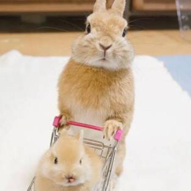 のあ