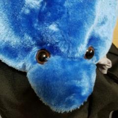 あつ
