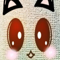 ☆*:.｡. o(≧ω≦)o .｡.:*☆