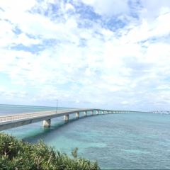 乃木坂じゃない何か。