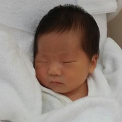 いしちゃん