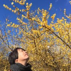 創間元哉先生のありがたい お言葉と本田晃一先生・福原先生など