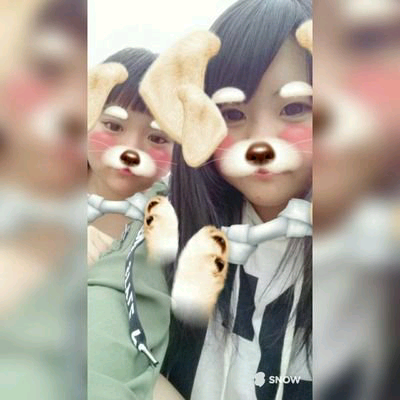 心菜