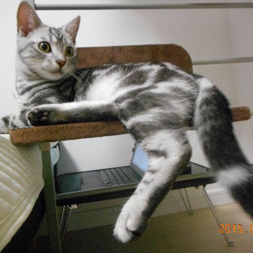 まえこうのトーク