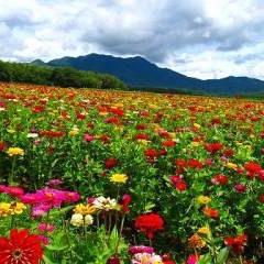 メルヘンファンタジーはっちゃすのトーク