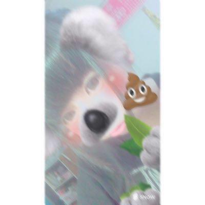 ｻｶﾞﾜ ﾕｳｶのトーク