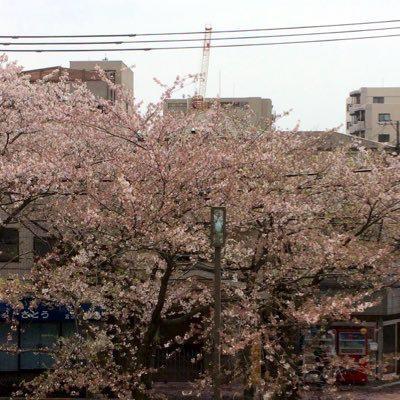 HIKAのトーク