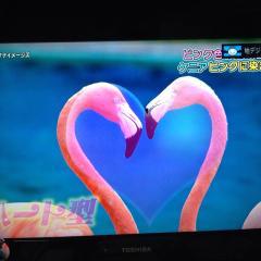 齋藤ひとみのトーク