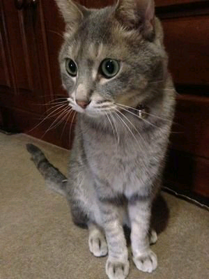 うらっち
