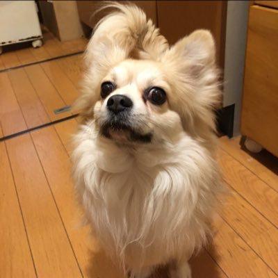 まろん