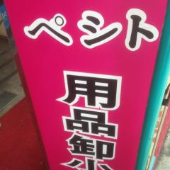 ニコニコロビン