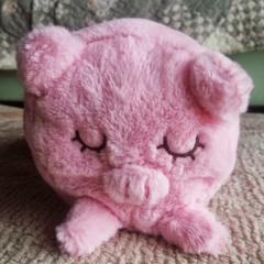 むかいちゃん