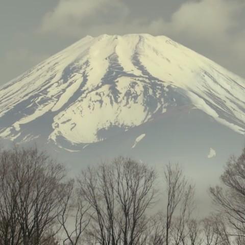 Suyama