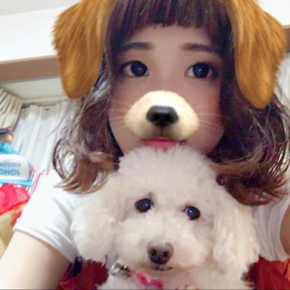 みく゚:*。