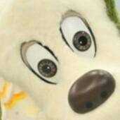 スタートライン