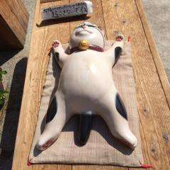 ヨッシ〜のトーク