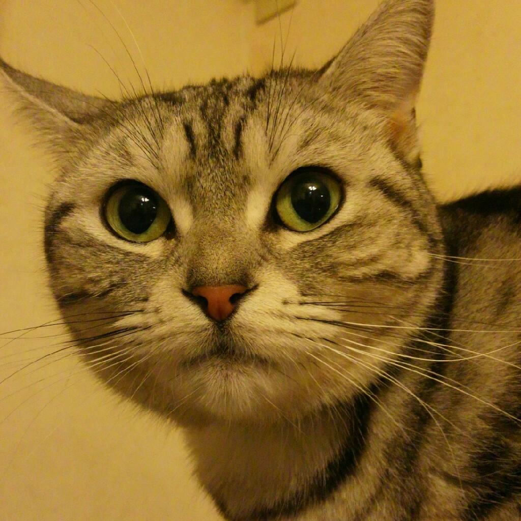 ゆっくん(*^O^*)