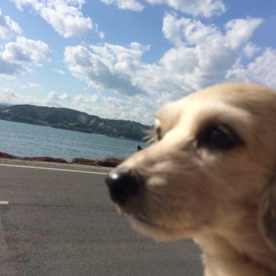 こむさんのトーク