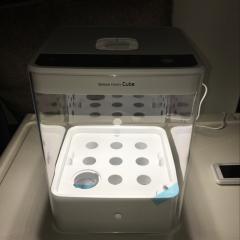 しゅうへいへーいの観察日記