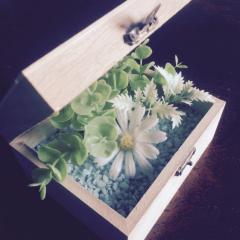 しゃーぷぺんしるの人。のトーク