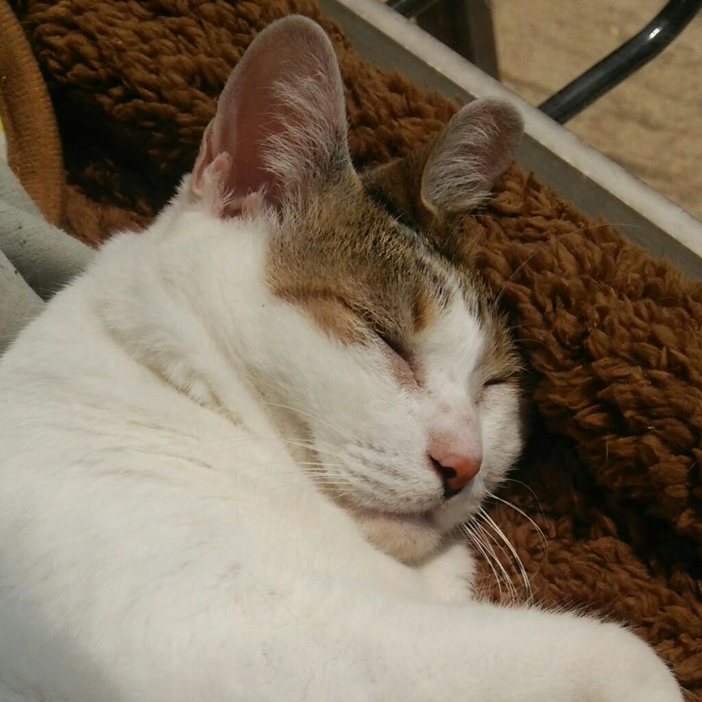 のぐち
