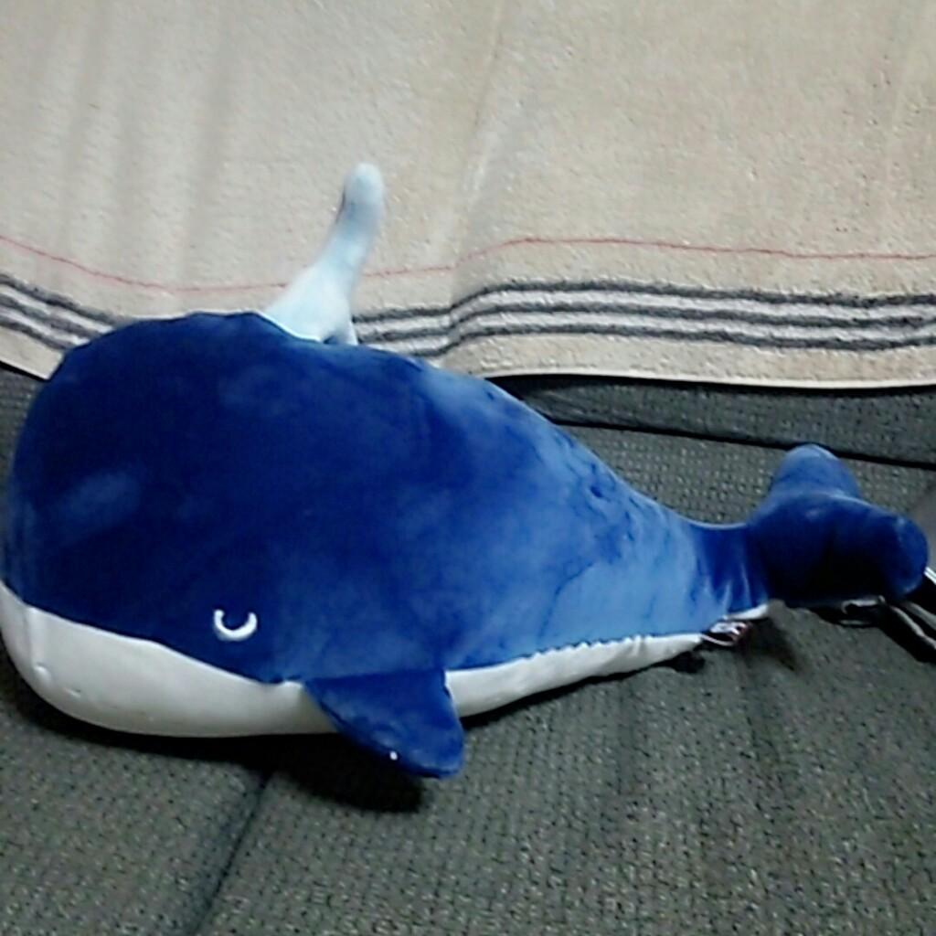 ののかのトーク