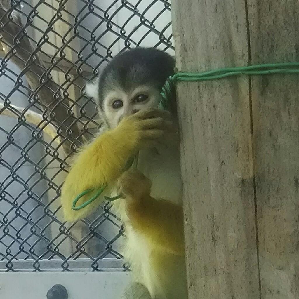 俺の大切さん🎵