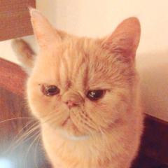 きなちのトーク