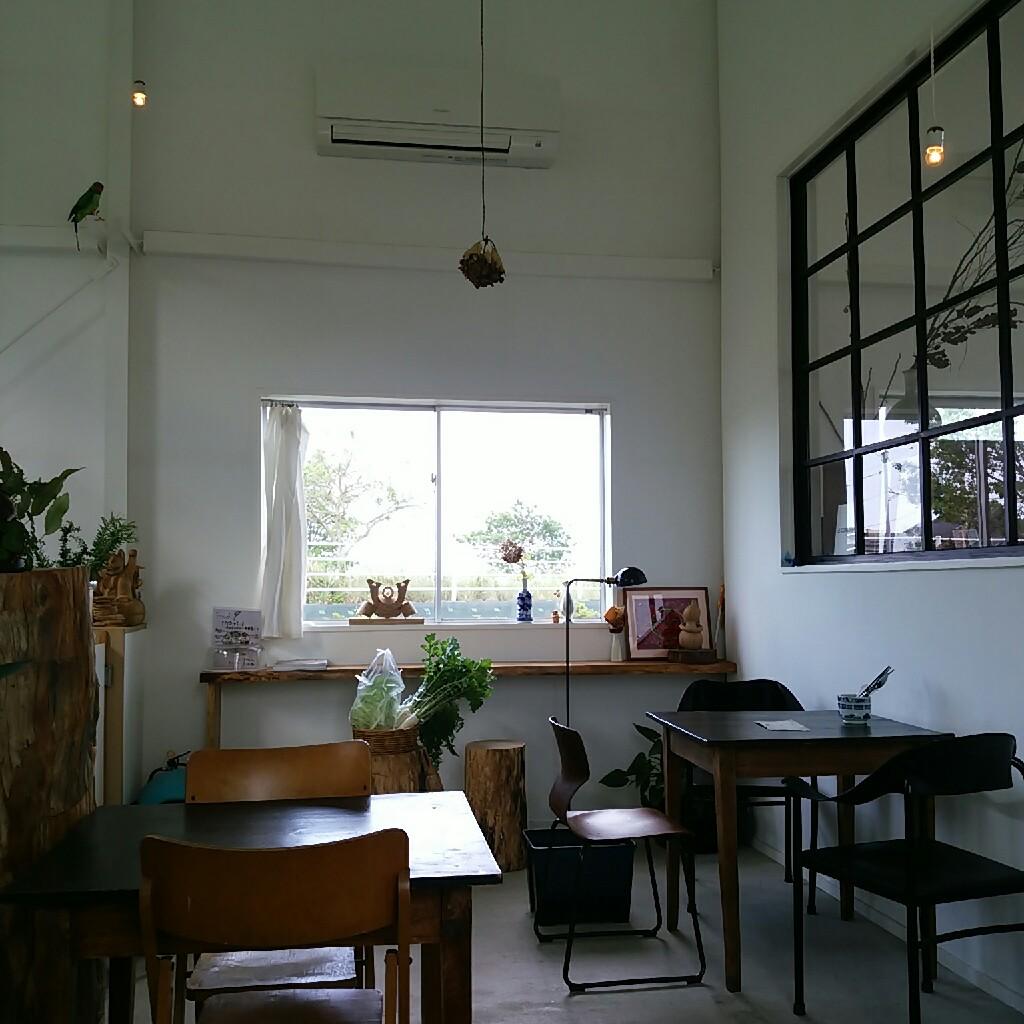 ワクワクする人生を送りたい